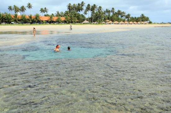 Villa Casa Em Serrambi Com Piscina E Terraco Amplo Pôrto das Galinhas Exterior foto
